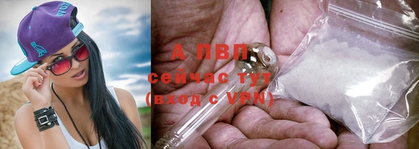 тгк Арсеньев