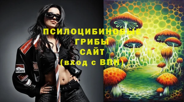 гидропоника Аркадак