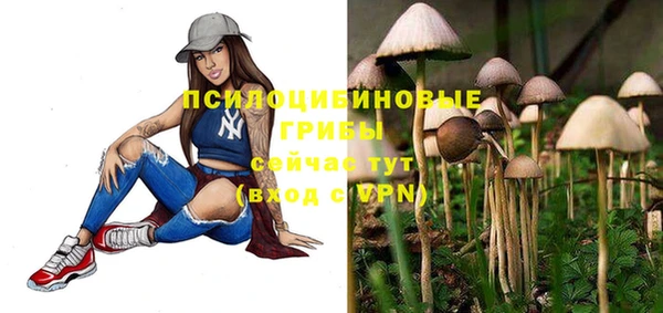 гидропоника Аркадак