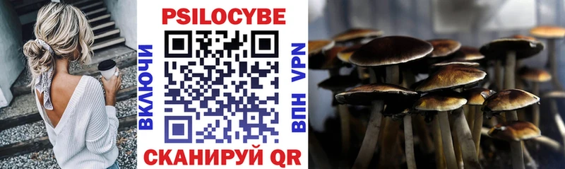 наркота  Коммунар  Псилоцибиновые грибы прущие грибы 