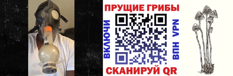 Псилоцибиновые грибы GOLDEN TEACHER Коммунар